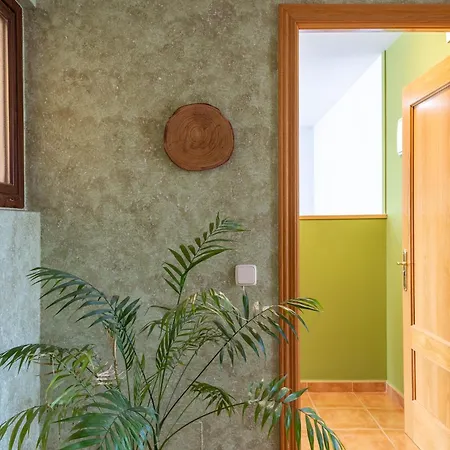 La Casa De Dafne Acebo Santo Tomé del Puerto